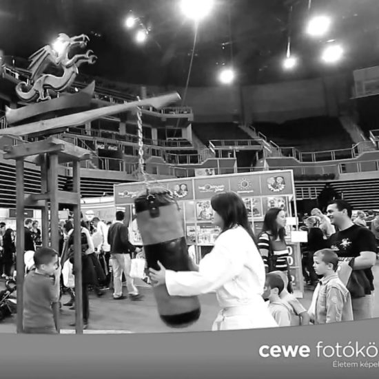 Cewe - Children's World Exhibition - 2013 Video